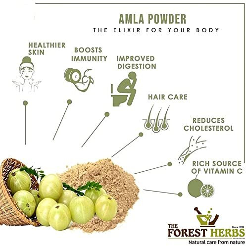 The Forest Herbs Natural Care From Nature Herbs Dry Amla Pieces For Eating - Hair Growth (500 Grams) (Saboot, No Salt, Fruit), Sukha Awla, Aavla Sabut, Dry Gooseberry, Usirikaya Dried