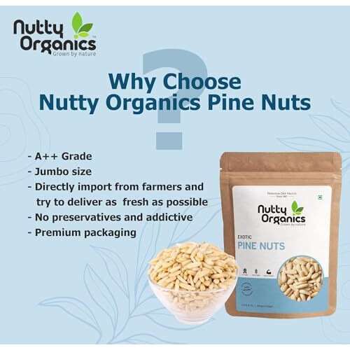 Nutty Organics 100% Natural Exotic Pine Nuts - 100 Gram | Chilgoza Giri | Chilgoja Seeds | Pine Seeds Jumbo Size | Pure Dry Fruits (Rich In Protein & Fiber) | Without Shell Lebanon Pine Nuts
