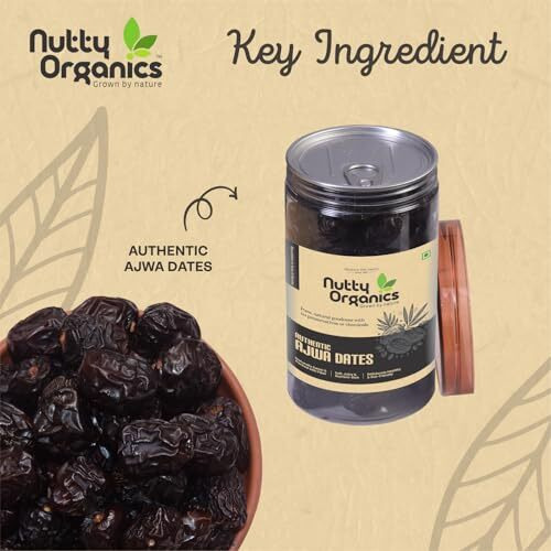 Nutty Organics Ajwa Dates  500 Gram Pack | 100% Natural, Hand-Picked, And High In Fiber | Perfect For Snacking & Healthy Living