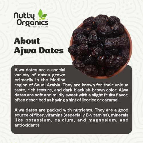 Nutty Organics Ajwa Dates  500 Gram Pack | 100% Natural, Hand-Picked, And High In Fiber | Perfect For Snacking & Healthy Living