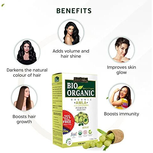 Indus Valley 100% Bio Organic Amla Powder (Indian Gooseberry Powder) Phyllanthus Emblica | Natural & Fresh For Healthy Hair - 200 Gm