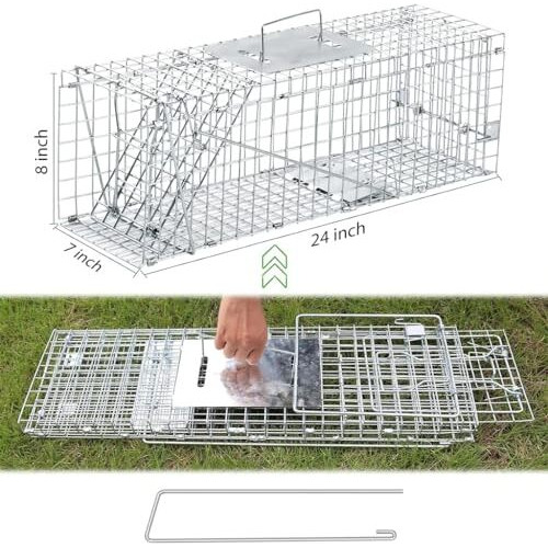 Proberos Live Animal Cage Trap, One-Door Animal Trap Forrabbits, Stray Cat, Squirrel, Raccoon, Mole, Release Cage With Handle For Urban Wildlife Rescue 24&quotX7&quotX8", Silver