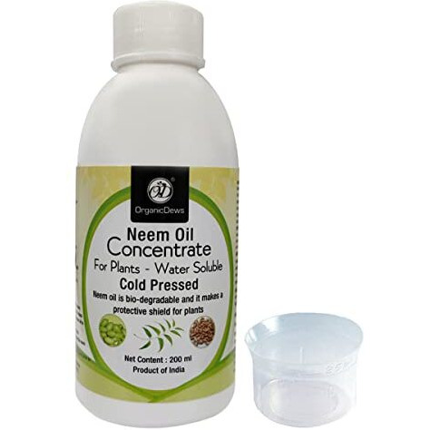 Organicdews Neem Oil (Water Soluble) Concentrate For Plants 200 Ml With Measuring Cup 25 Ml - Controls Garden Insects And Fungus In Plant 200 Ml