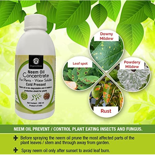 Organicdews Neem Oil (Water Soluble) Concentrate For Plants 200 Ml With Measuring Cup 25 Ml - Controls Garden Insects And Fungus In Plant 200 Ml