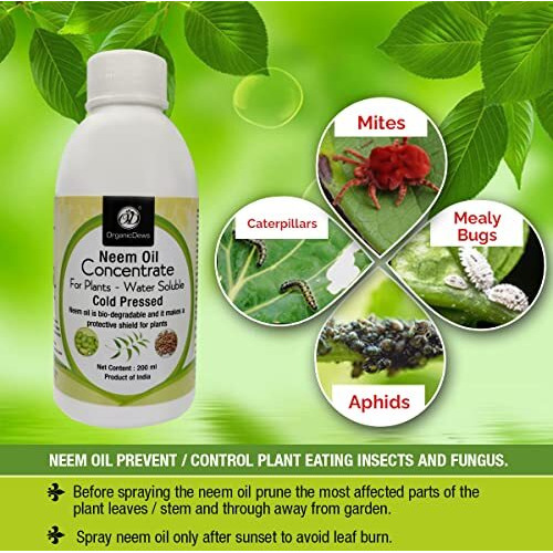 Organicdews Neem Oil (Water Soluble) Concentrate For Plants 200 Ml With Measuring Cup 25 Ml - Controls Garden Insects And Fungus In Plant 200 Ml