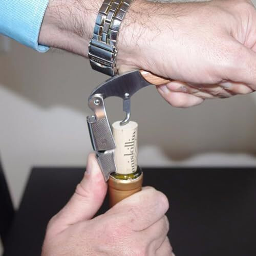Hodaqe Wine Bottle Opener, Professional Stainless Steel Corkscrew For Beer, Key For Servers, Bartenders, Sommeliers And Hobbyists