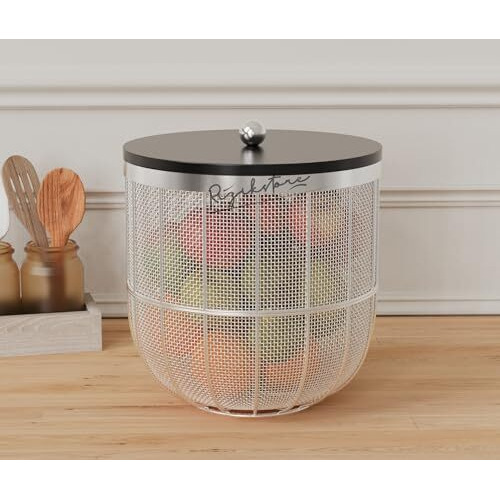 Rizik Store Modern Insect-Free Metal Fruit Basket/Bowl With Lid  Perfect For Fruits, Vegetables, And Home Dcor, Durable Design, 22X24Cm (Silver (Pack Of 1))