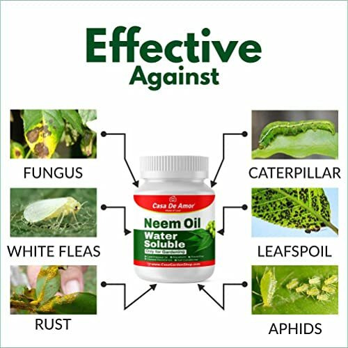 Casa De Amor Neem Oil - Water Soluble Organic For Easy Spray On Garden And Indoor Outdoor Plants- 2 Pack Of 100 Ml (Total 200 Ml)