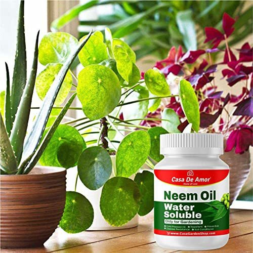 Casa De Amor Neem Oil - Water Soluble Organic For Easy Spray On Garden And Indoor Outdoor Plants- 2 Pack Of 100 Ml (Total 200 Ml)