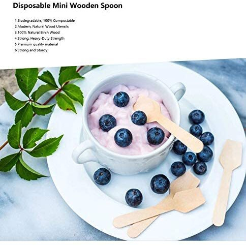 G 1 Disposable Wooden Spoon Square End 95 Mm | Mini Taster Spoon | Ice Cream Spoon | Pastry Spoon | Eco Friendly And Bio Degradable (Pack Of 100)
