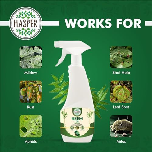 Hasper Neem Oil For Plants Insects Spray | Plant Protection Spray All In One | Removes Aphids, Mealybugs, Fungus And Other Pests From Plants | Ready To Use | Plant Guard (500 Ml)