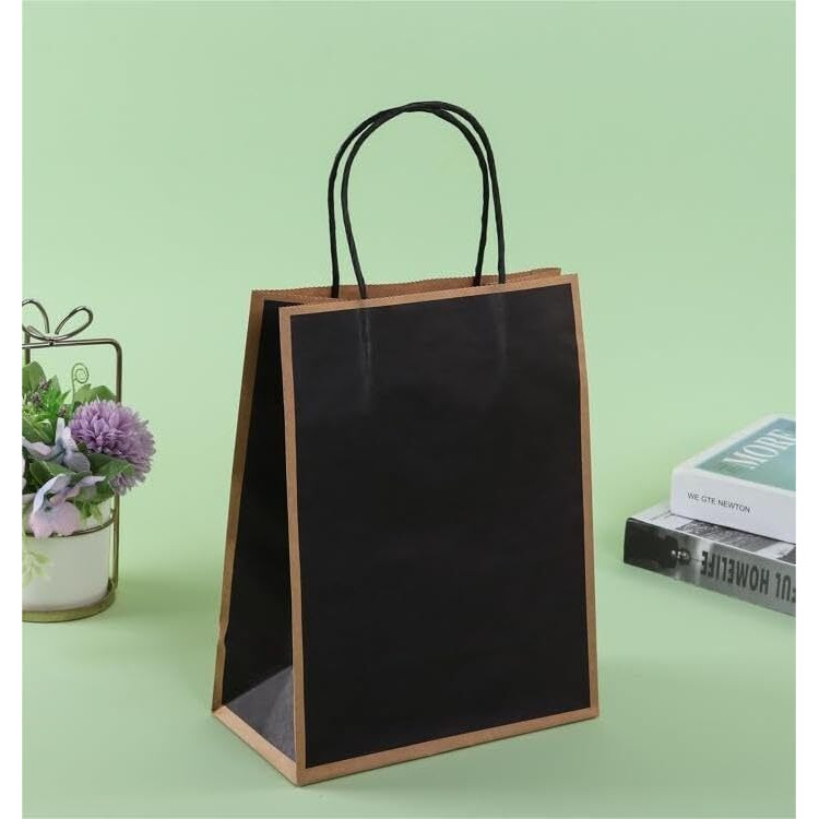 Satyam Kraft 6 Pcs Small Paper Bags With Handle | Gift For Her/Him, Mothers Day Gifting,Gift Bags Return Gifts, Wedding, Anniversary, Birthday, Party Favours, Hampers, Festival (21 X 15 Cm) (Black)