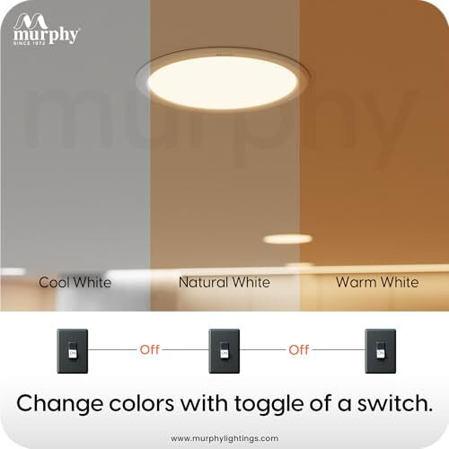 Murphy 10W Recessed Round Trimless Led Panel Light | 3-In-1 Colour Changing  Cool White/Neutral White/Warm White  Pack Of 10