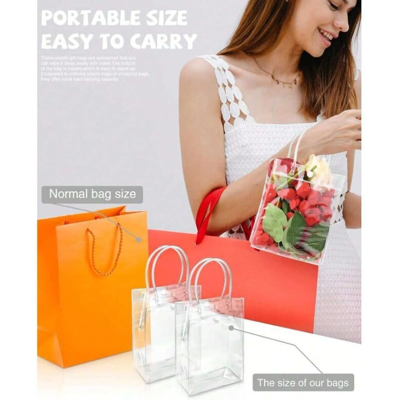 Satyam Kraft 6 Pcs Small Transparent Bag Goodie Bags With Handle Gift Bag, Carry Bags, Shopping Gift Bag, Gift For Valentine Gifting (Small)(Pack Of 6)(18 Cm H)