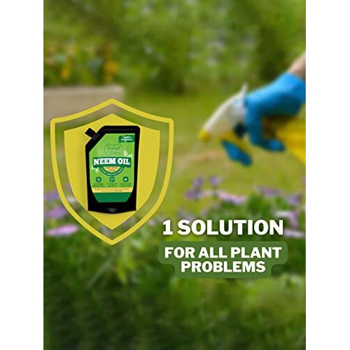 Bombay Greens  Sow, Grow, Eat, Repeat Bombay Greens Water Soluble Neem Oil For Plants Insect Spray, 100% Pure Cold Pressed Neem Oil For Indoor & Outdoor Plants - 250 Ml