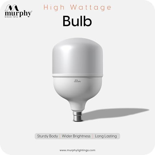 Murphy 30W B22D Led Bulb (Warm White)