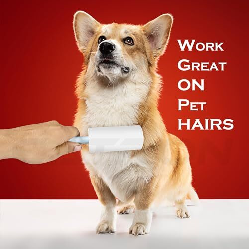 Catron Lint Roller Remover For Clothes | 180 Sheets Value Set Lint Roller With 1 Handle | Reusable Easy-Tear Pet Lint Remover - 3 Refills