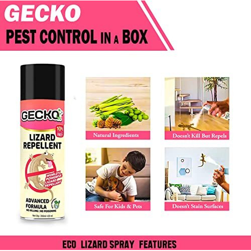 Gecko India's First Aerosol Based Herbal Lizard Repellent Spray | Odour Free Spray | Eco-Friendly & Biodegradable | Irritant-Free, Chemical-Free | 220Ml Lizard Spray For Home (15 Days Protection) Pk Of 1 - Formulation 10X