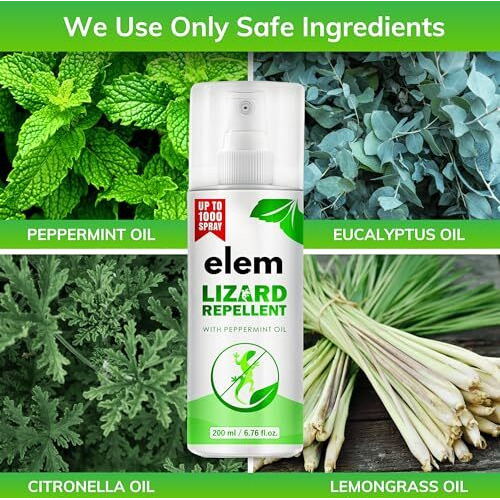 Elem Lizard Repellent Spray For Home 200Ml | 100% Natural Lizard Spray | Made Of Peppermint, Eucalyptus, & Citronella Oils | Pest Control Spray | Anti Lizard Spray | Safe For Kids & Adults.