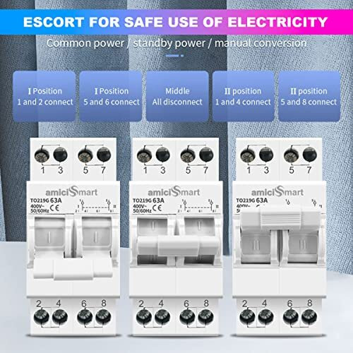 Amicismart Dual Power Manual Control Transfer Switch, 63A (Single Phase)