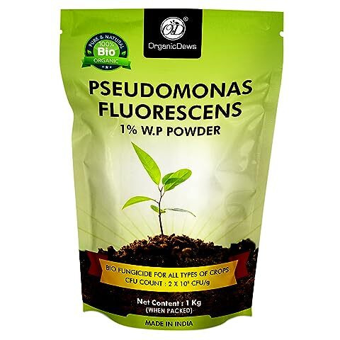 Organicdews Pseudomonas Fluorescens Powder(2X10^8 Cfu/G) (1 Kg) For Seeds And Garden Plants - Against Root/Stem Rot, Wilt Fungal Dieases 1 Kg