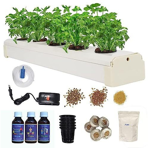 City Greens Hydroponic Kit For Home Garden - Beginners 5 Planter Deep Water Culture (Dwc) System - Grow Any Indian, Exotic Leafy & Herbs|| Perfect At Home Kit For Hydroponic Gardening