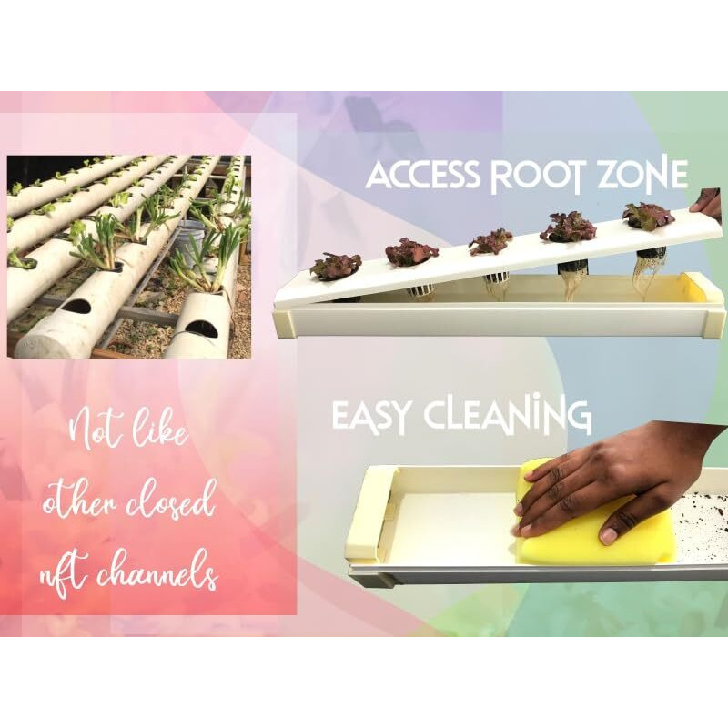 City Greens Hydroponic Kit For Home Garden - Beginners 5 Planter Deep Water Culture (Dwc) System - Grow Any Indian, Exotic Leafy & Herbs|| Perfect At Home Kit For Hydroponic Gardening