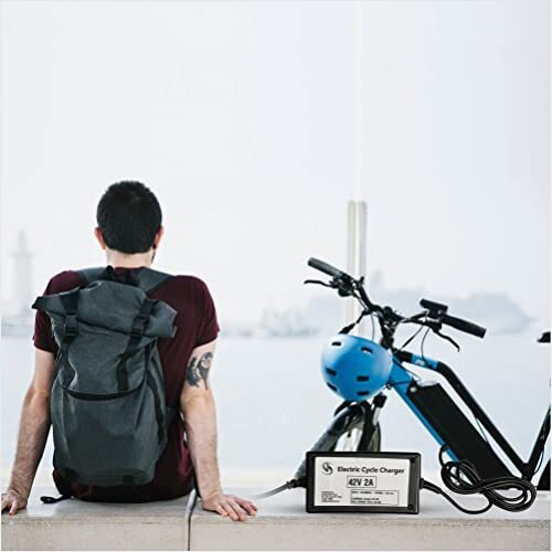 Synocare Lithium Ion 42 Volt 2A Battery Charger For 36 Volt Lithium Ion Battery For Electric Bike/Electric Cycle With Auto Cut Off And Led Indicator