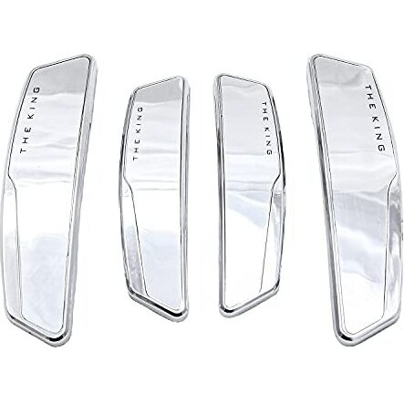 Sarte Car Door Edge Guard Scratch Protector For All Cars (Chrome Finish)