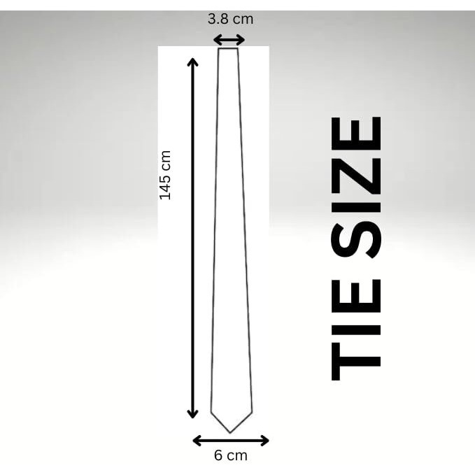 Label Punya Premium Classy Solid Satin Slim Necktie For Men | Formal & Casual Tie For Men|Perfect For Office,Formal Events, Weddings | Gift For Men-Offwhite