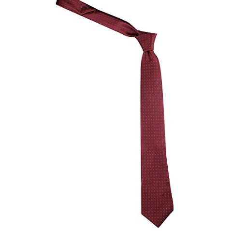 Kavove Maroon Polka Dot Neck Tie For Men