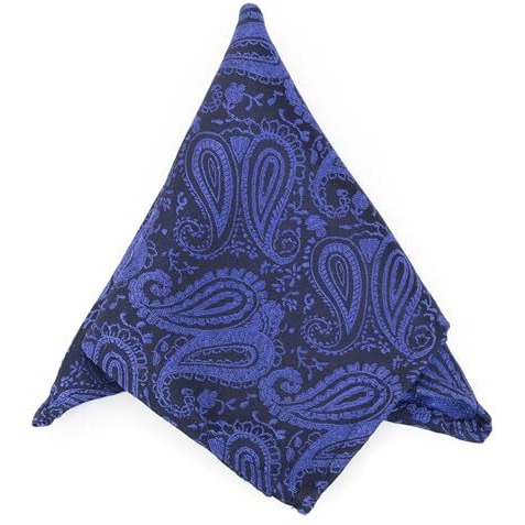 To The Nines Men's Microfiber Blue Paisley Pocket Square