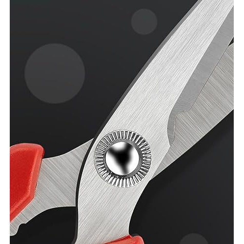 Wolpin Home & Kitchen Scissors Multi Purpose Cutting Vegetables Meat Scissor For Office, Craft- 17 X 9 Cm, Medium