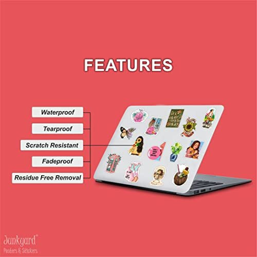 Junkyard Vinyl Laptop Reusable Self-Adhesive Sticker S For Girls Journals Guitar Scrapbook Laptops (Pack Of 50)