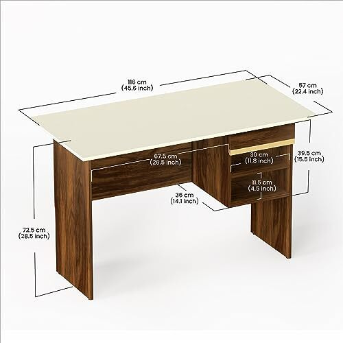 Bluewud Amalet Engineered Wood Study And Computer Laptop Table For Home Or Office, Wfh Desk, With Drawer Shelves Storage For Books For Adults Kids Students (Brown Maple With Gold Motif)