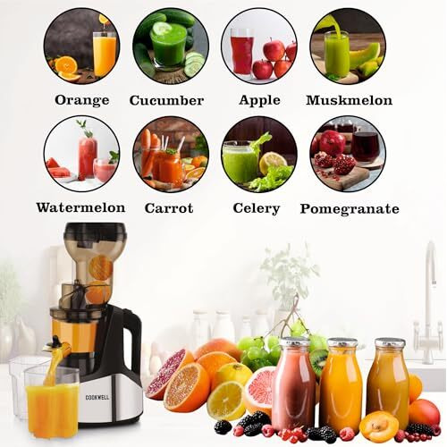 Cookwell Cold Press Slow Juicer And Ice Cream Maker, 500 Watt, Stainless Steel