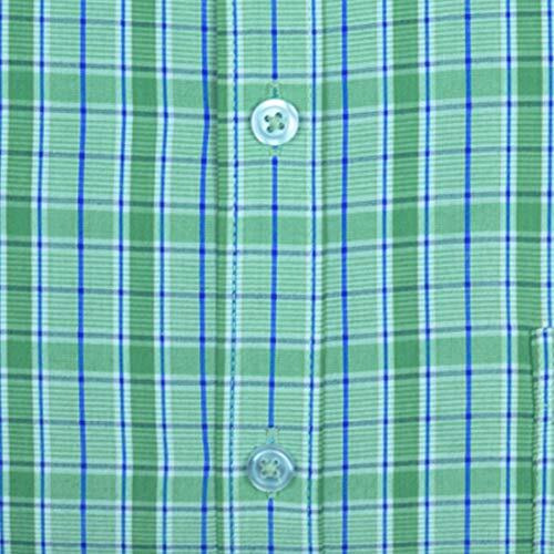 Accox Men's Half Sleeves Formal Regular Fit Cotton Check Shirt(Multi,Gc297_42)