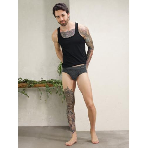 Damensch Men Deo-Soft Supima Modal Briefs-Pack Of 2-Dashed Silver, Hybrid Grey-Large