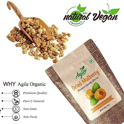Agile Organic Naturally Dried Mulberries 100G | Naturally Sweet Dried Mulberry | 100 Grams Trial Pack