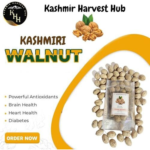 Kashmir Harvest Hub Kashmiri Walnuts - 500G | Paper Shell | A++ Grade | 100% Natural & Premium | Pure & Authentic | Organic | A++ Grade | Chemical Free | Direct From Kashmir