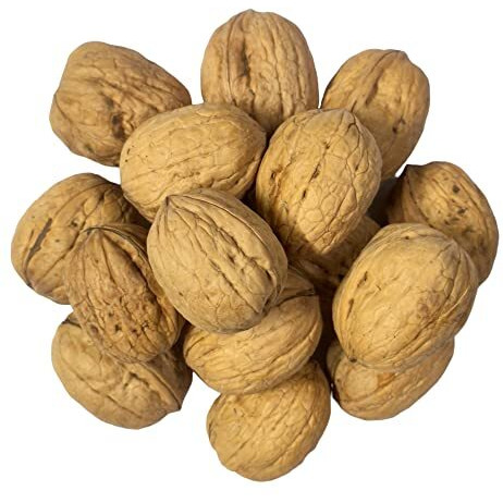 Dry Fruit Hub Walnuts 1Kg With Shell | Sabut Akrot | New Crop Walnuts Inshell | Fresh And Natural Walnut | Kagzi Akhrot | Easy To Break Shell Chilean Walnuts