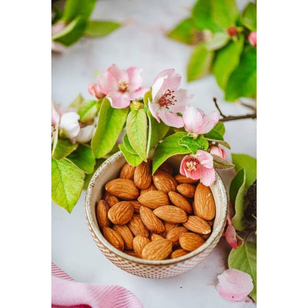 Ancy 100% Natural Quality Raw Almonds/Badam Dryfruits, 2 X 250 G