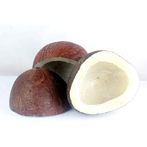 Ancy Nuts And Seeds(Dry Coconut/Nariyal 250G)