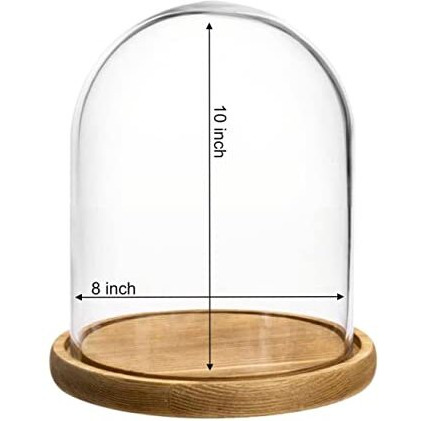 Kraftyhome Decorative Cake Dome | Wooden Cake Stand With Cloche/Dome | Decorative Clear Glass Dome, Cloche Bell Jar Display | Dessert Dome | Cake Dome - 8 X 10 Inch