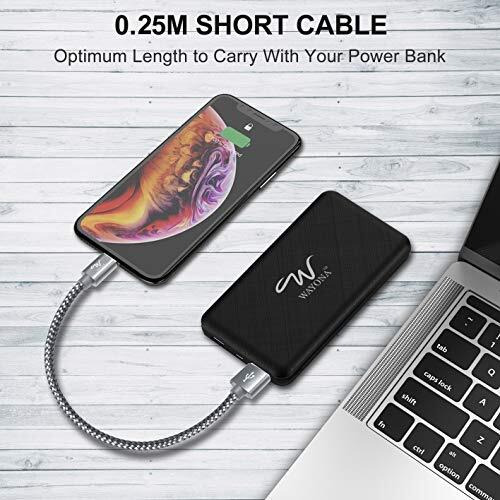Wayona Nylon Braided Lightning Short Power Bank Charging Cable With Data Sync And Carplay Support For Iphones, Ipad Air, Ipad Mini, Ipod Nano And Ipod Touch (0.25M Short Cable, Grey)