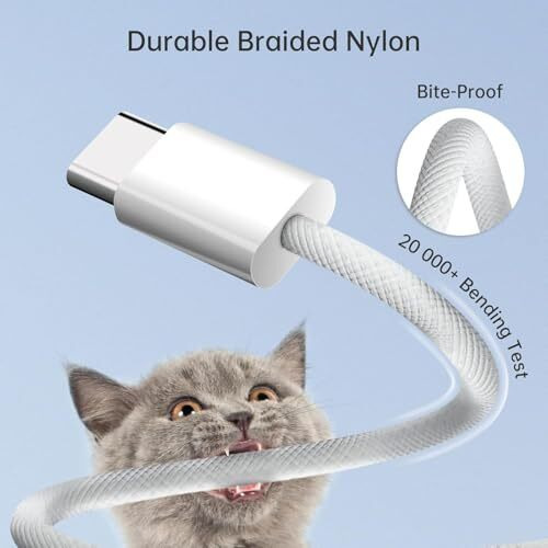 100Fit Google Pixel Original Type C To Type C Mobile Data Charging Cable For Pixel 8 Pro/8/8A/7 Pro/7/7A/6 Pro/6/6A/5/Chromebook Laptop/Buds/And Other Usb C Device Support For Nothing Phone 2/1, 30W