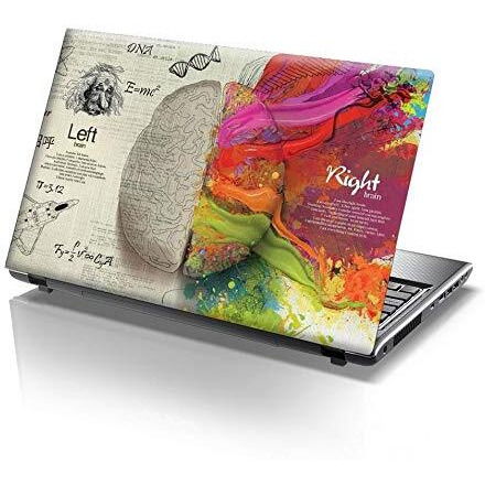 Pixelartz Laptop Skin Left & Right Brain Anatomy Hd Quality 15.6 Inches Multicolor