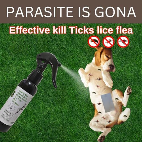 Toweb Enterprise Mite Removal Spray | Effective Dust Mite & Bed Bug Killer | Indoor Cleaning Solution For Mattresses, Home & Garden (10)