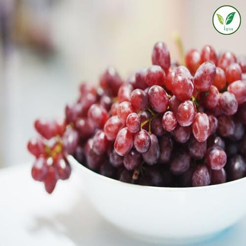 Iagrifarm Black Grape Seeds - 250 Gram/Angur Beej/Grape Seed