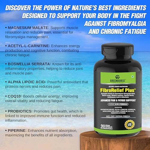 Greendorse Fibrorelief Plus For Fibromyalgia Relief, Fatigue, Inflammation, Muscle Cramps Etc| 10 In 1 Formula With Magnesium Malate, Curcumin, Boswellia, Alpha Lipoic Acid, Acetyl-L-Carnitine, Coq10, Vitamins - 90 Veg Capsules